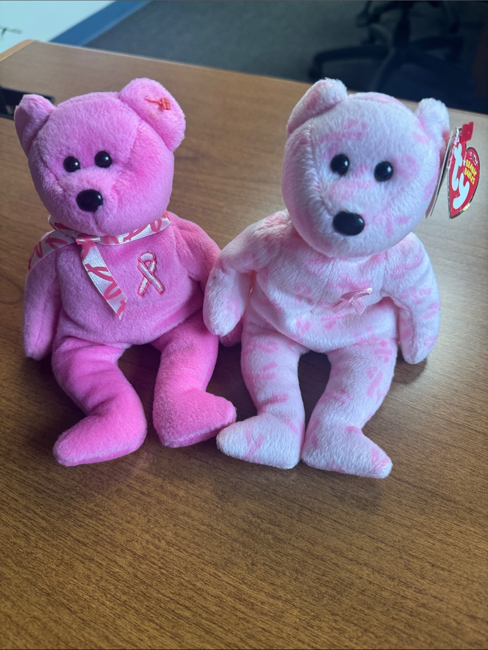 Ty Pink Ribbon Charity Bears - Hot Pink & Light Pink Plush Duo